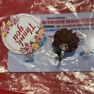 10 Mukhi Rudraksha