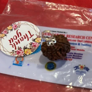 7 Mukhi Lakshmi Rudraksha