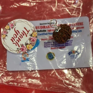 8 Mukhi Rudraksha