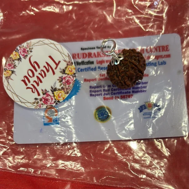 8 Mukhi Rudraksha